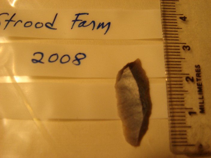 leaf-shaped arrow head